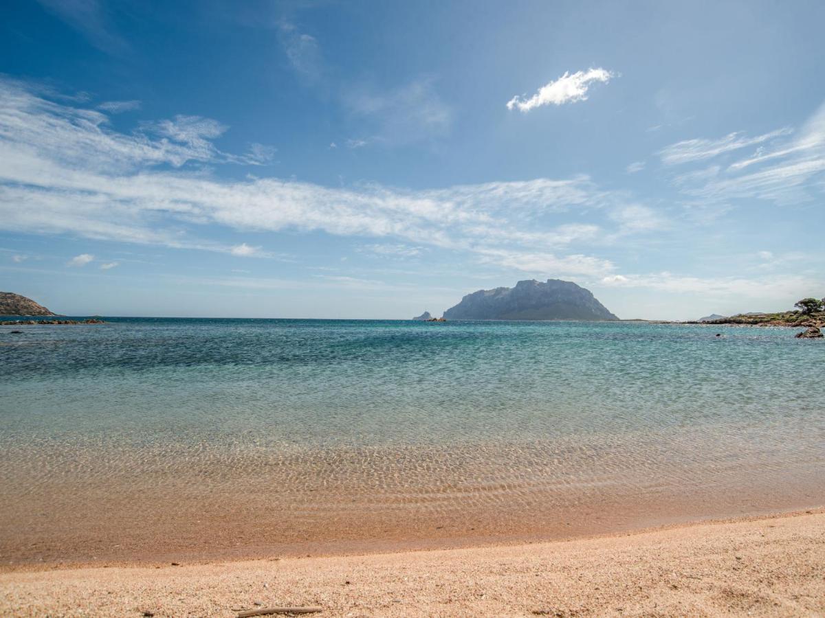 Holiday Home Flamingo By Interhome Costa Corallina Dış mekan fotoğraf